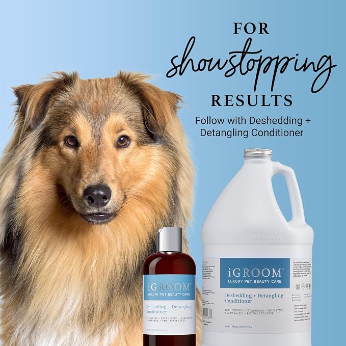 iGroom Deshedding & Detangling Dog Shampoo, Luxury Pet Beauty Care, Loosen Tangles + Unwanted Undercoat, Adds Shine + Volume, Made in USA (1 GAL)