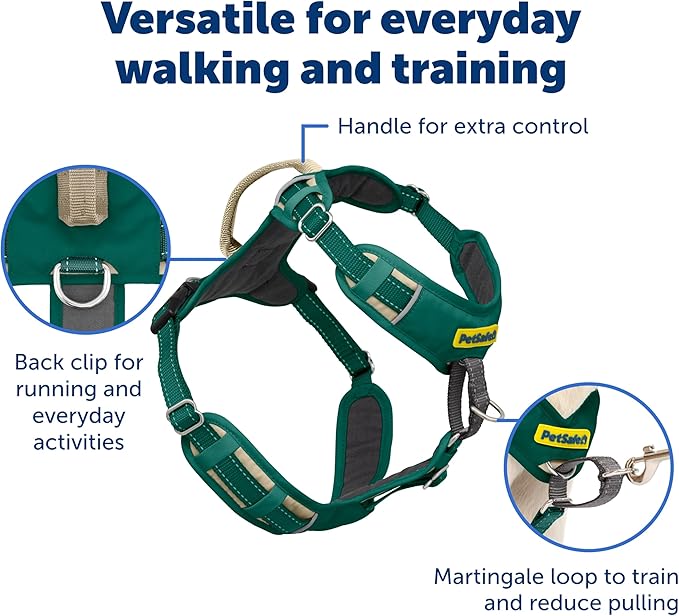 PetSafe Easy Walk Comfort No-Pull Dog Harness Full-Body Padding - Better Walks on the First Use - 5 Points of Adjustment Small, Green