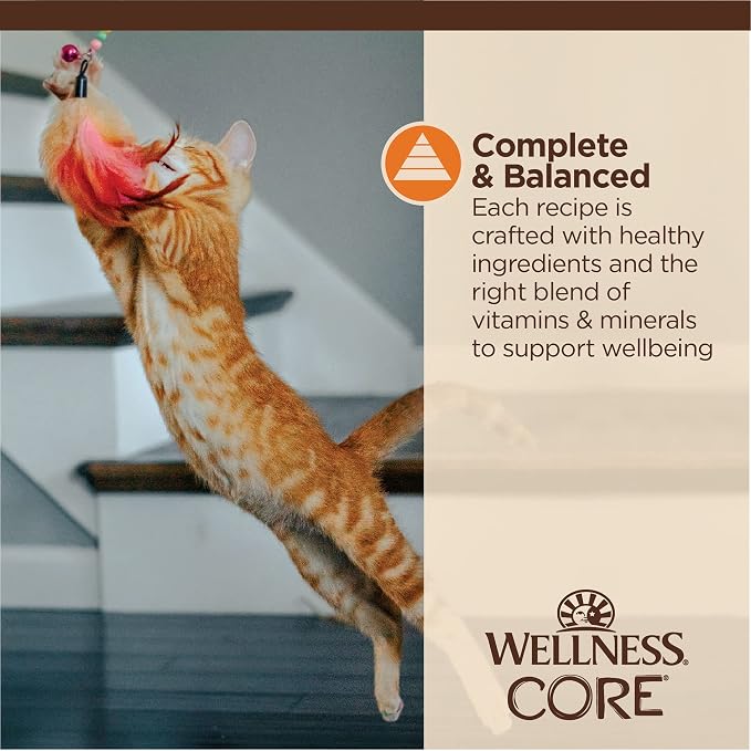 Wellness CORE Tiny Tasters Minced Adult Wet Cat Food, Natural, Protein Rich, Grain Free, Chicken Recipe, 1.75 oz, Pack of 12 Pouches