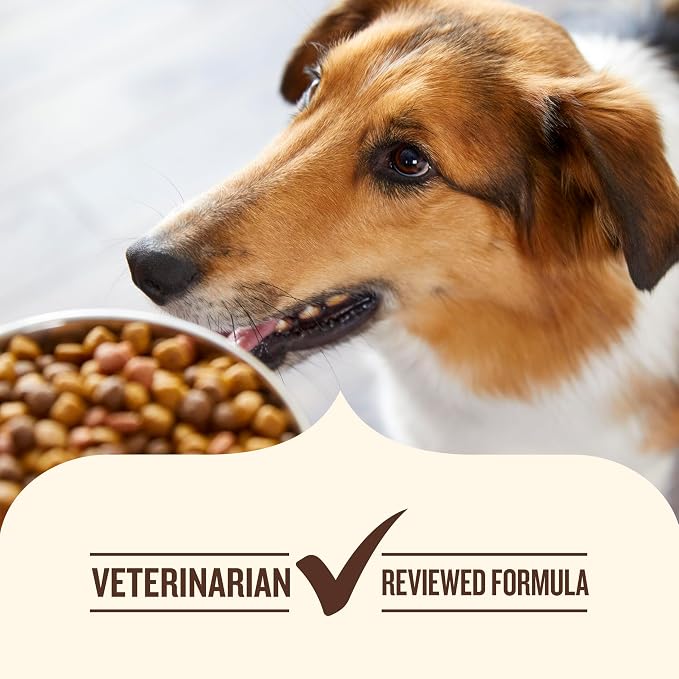 Nutrish Limited Ingredient Lamb Meal & Brown Rice Recipe Dry Dog Food, 14 lb. Bag, Packaging May Vary (Rachael Ray)