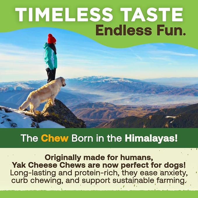 EcoKind Yak Cheese Himalayan Dog Chews, Yak Chews for Large Dogs, Long Lasting Bone for Aggressive Chewers, 3 Ingredient Natural High Protein Treats, No Additives or Lactose, Large - 12+ Chews (3 lbs)