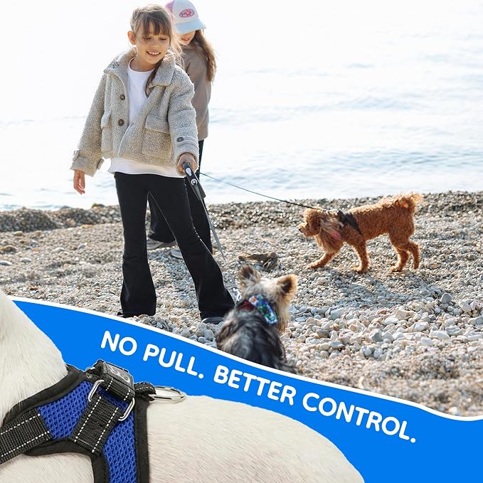No Pull Reflective Adjustable Dog Harness With Handle- Comfortable Soft All Weather Mesh, Easy On Puppy Harness For Small Medium and Large Dogs (Blue) XX-Small