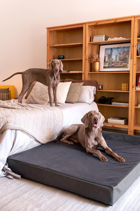 NOAH & PAW Giant Dog Bed XXL 55x45x9.5 Inch, Orthopedic Dog Beds, Eggshell Memory Foam Infused with Cooling Gel, Water Resistant, Machine Washable, Includes Inner Cover (Faux Leather)
