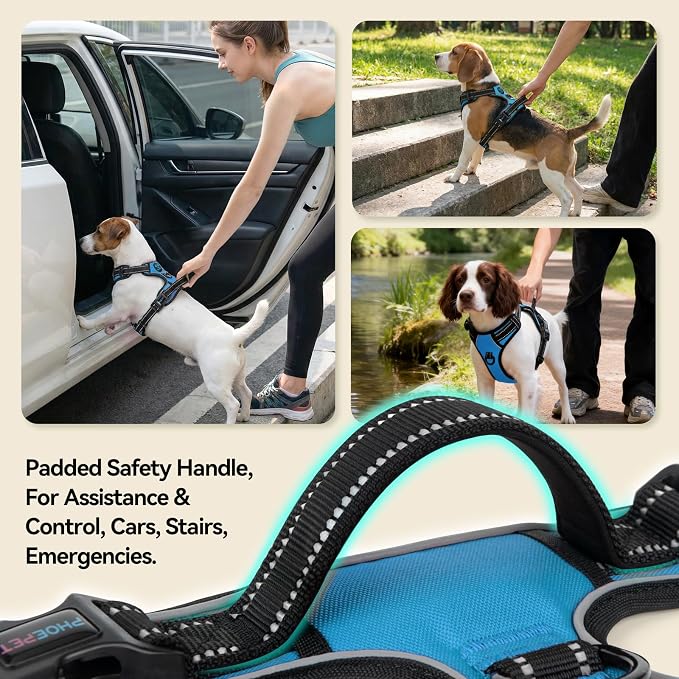 PHOEPET Reflective Dog Harness No Pull Large Breed Vest with 2 Metal Leash Attachment Hooks(L, Blue)