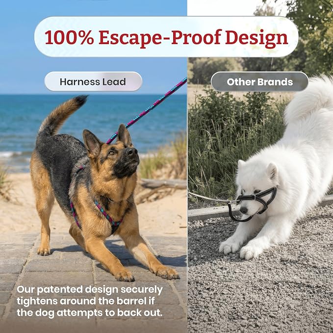 Harness Lead No Pull Dog Harness and Leash Set, Anti Pull Dog Harness for All Breeds and Sizes, One-Piece Cushioned Rope Design Safely Prevents Escaping and Pulling (Small/Medium, Blue/Multi)
