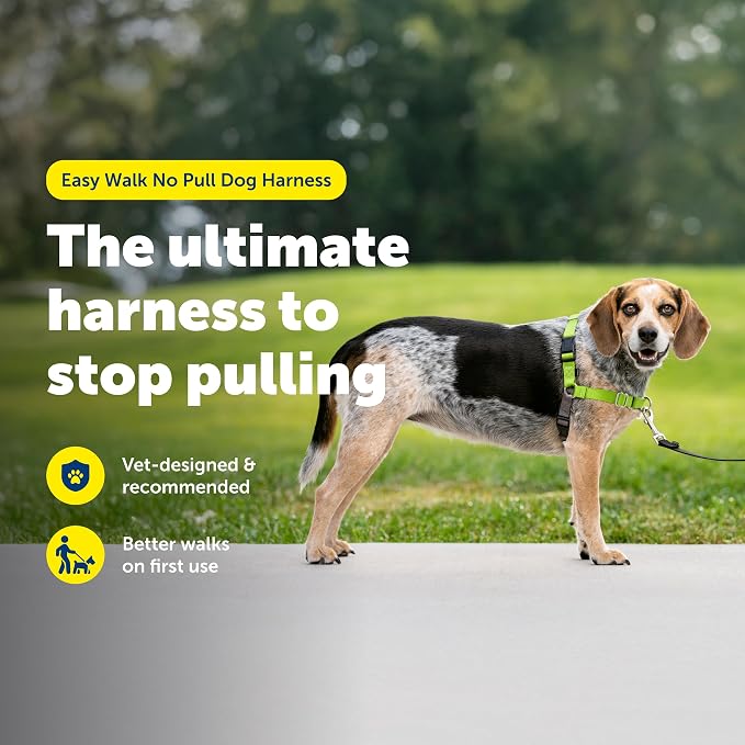PetSafe Easy Walk No-Pull Dog Harness - Ultimate Harness to Help Stop Pulling - Pull-Free Walks - Take Control & Teach Better Leash Manners - Patented Martingale Loop Design - Green, Small/Medium