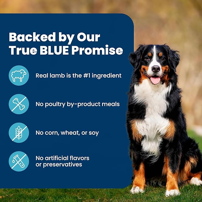 Blue Buffalo Life Protection Formula Lamb & Brown Rice Adult Dry Dog Food, Supports Immunity with Antioxidant-Rich LifeSource Bits, Promotes Healthy Muscle Development, Skin & Coat Health, 34 lbs.