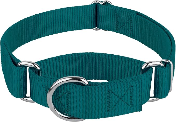 Country Brook Petz - Martingale Dog Collar - Heavy-Duty Training Collar with No Buckle - Service Dog Collar for All Pups - 20 Vibrant Colors (Teal, 3/8 Inch, 3XS)