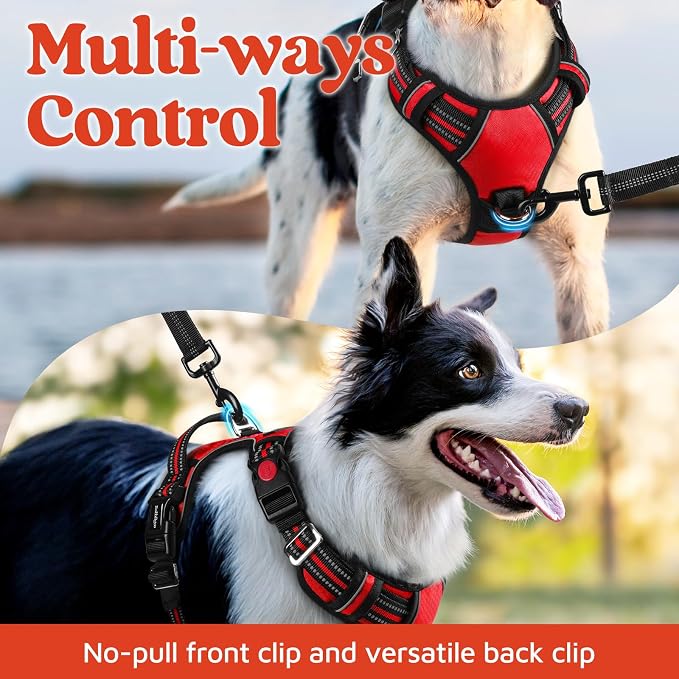 rabbitgoo Dog Harness Medium Sized, 3 Buckles Easy On & Off No Pull Pet Vest, Soft Padded Walking Pet Harness with Control Handle, Adjustable and Reflective, Red, M