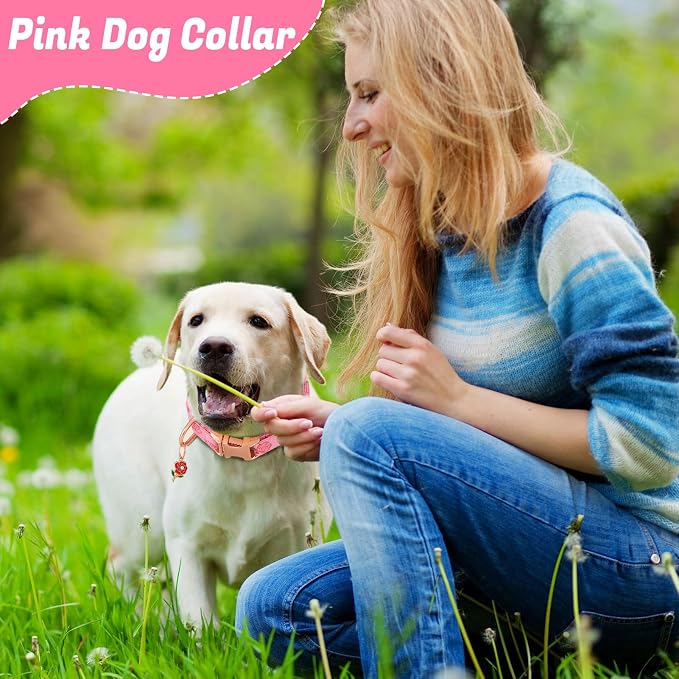 3 Pack Floral Dog Collars for Small Dogs Pink Dog Collar with Flower Pendant for Girl Female Dogs Adjustable Puppy Collars Pet Collar (9-14.5 inch)