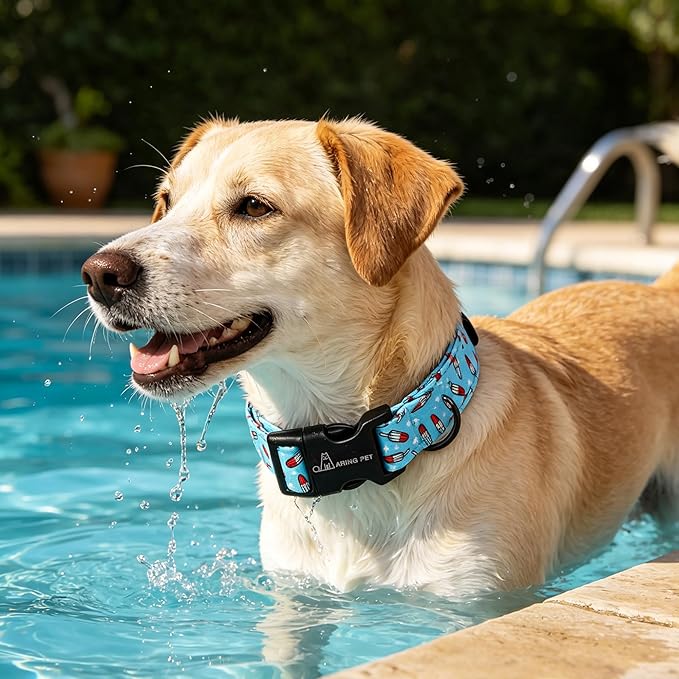 ARING PET Summer Dog Collar, Cute Blue Ice Pop Pet Collars with Quick Release Buckle for Puppy Small Medium Large Boy Girl Dogs-L