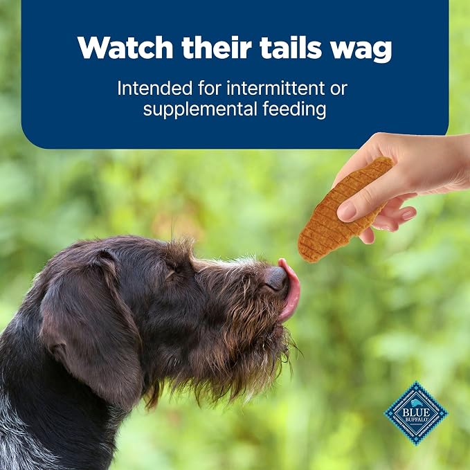 Blue Buffalo Nudges Jerky Cuts Dog Treats, Made in the USA with Natural Ingredients, Chicken, 10-oz Bag, (Pack of 6)