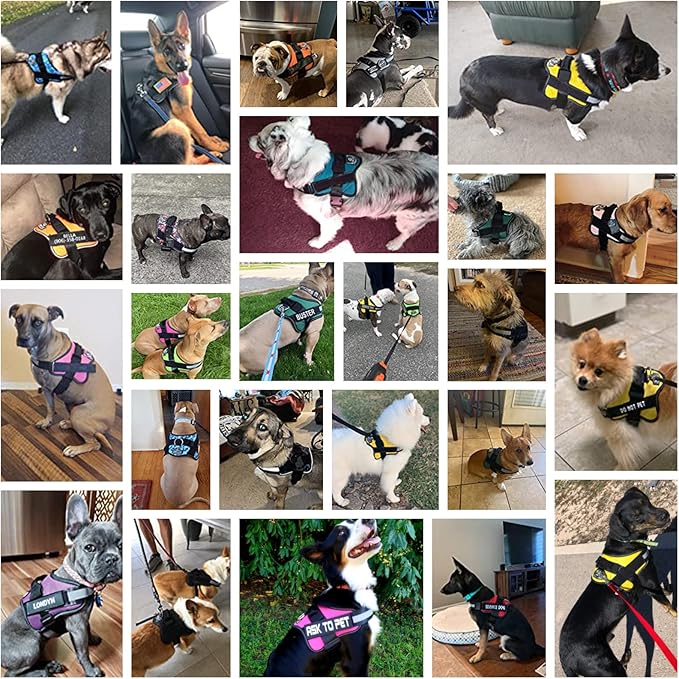 Dog Harness, No-Pull Reflective Dog Vest, Breathable Adjustable Pet Harness with Handle for Outdoor Walking - No More Pulling, Tugging or Choking (Purple, M)