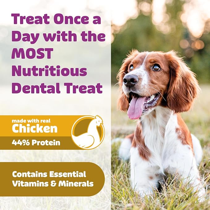 Yummy Combs Dog Dental Treats – Vet VOHC Approved, Removes Tartar & Cleans Teeth – Yummy High Protein Chicken Treat for Medium Dogs (Mini Pack, 9 Count)