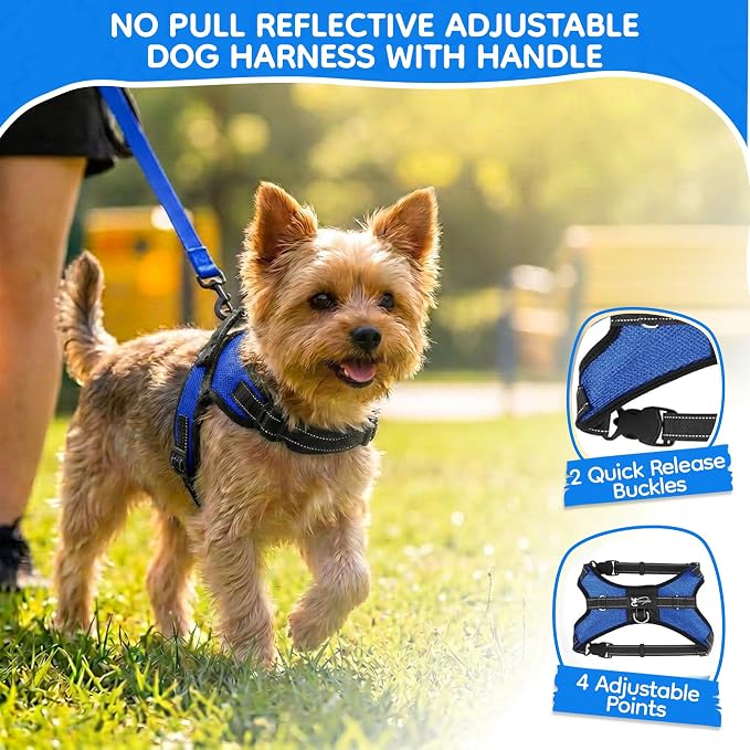 No Pull Reflective Adjustable Dog Harness With Handle- Comfortable Soft All Weather Mesh, Easy On Puppy Harness For Small Medium and Large Dogs (Blue) XX-Small