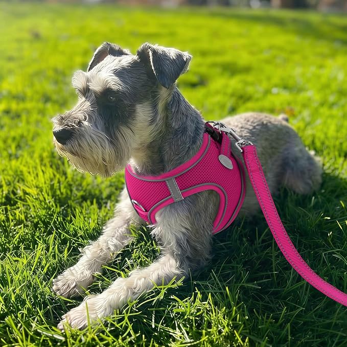 Joytale Small Dog Harness, Breathable Mesh Step-in Vest, Reflective Soft Padded Harnesses for Medium Dogs, Hot Pink, XL