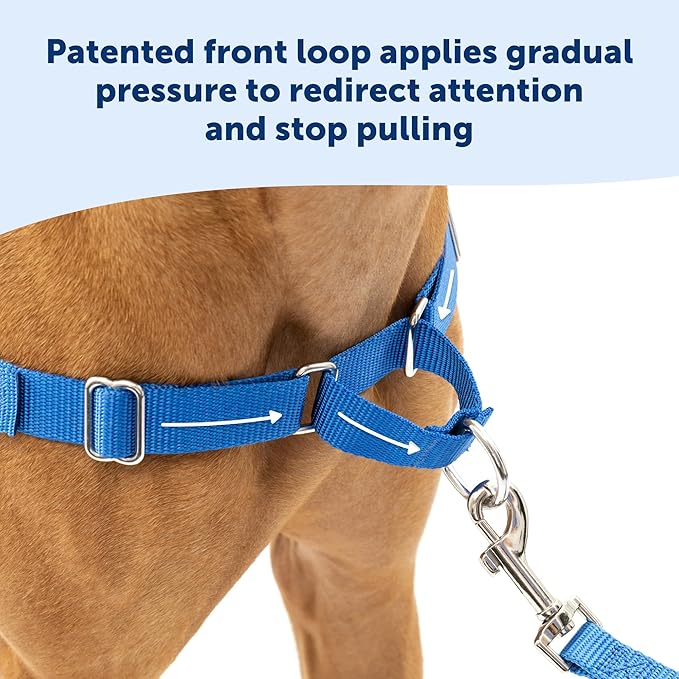 PetSafe Easy Walk No-Pull Dog Harness - Ultimate Harness to Help Stop Pulling - Pull-Free Walks - Take Control & Teach Better Leash Manners - Patented Martingale Loop Design - Royal Blue, Large