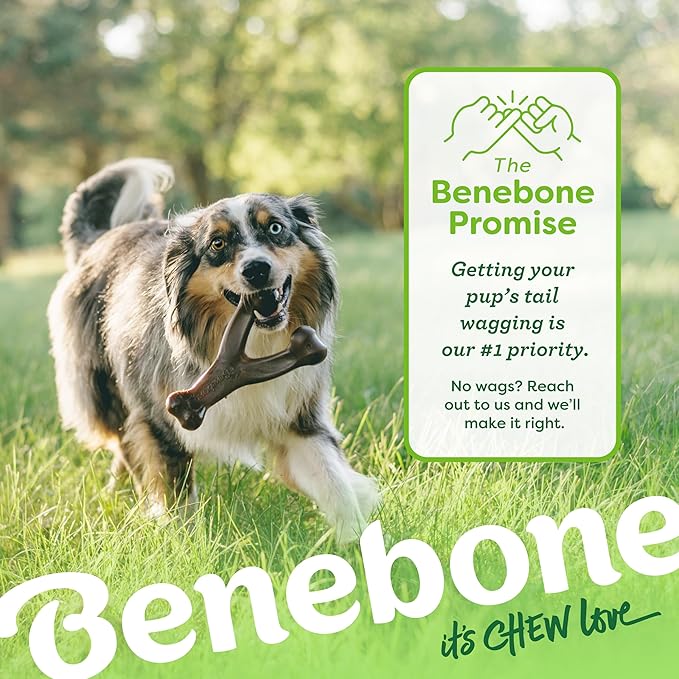 Benebone 2-Pack Wishbone Durable Dog Chew Toy for Aggressive Chewers, Real Bacon Made in USA, Small