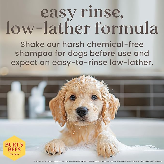 Burt’s Bees for Pets Tear Free Puppy Shampoo & Conditioner with Buttermilk, 2 in 1 Gentle Dog Shampoo for Puppies, Cleans and Conditions Sensitive Skin, 16 Fl Oz