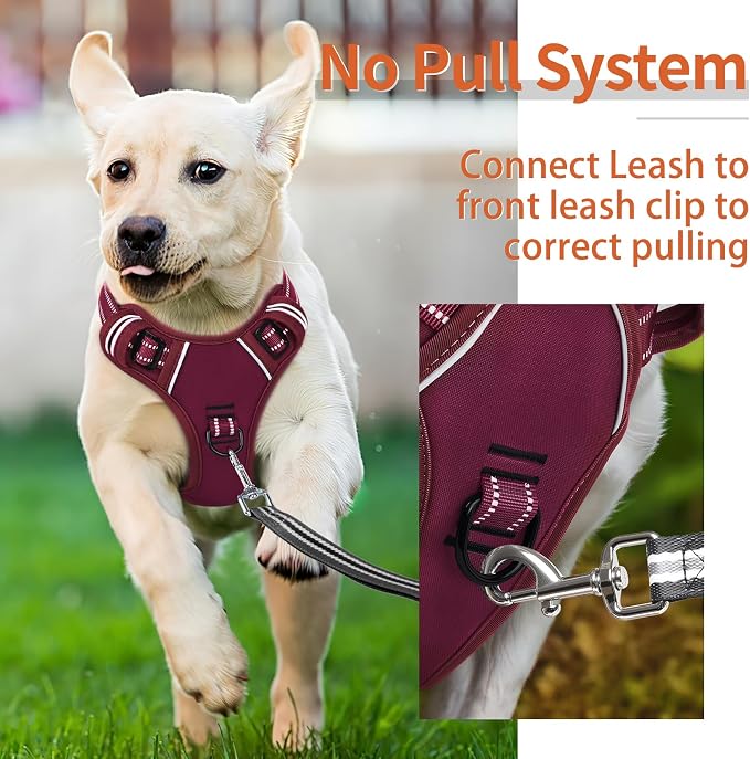HEELE Dog Harness for Small Dogs No Pull Dog Vest Harness for Small Dog with Soft Padded Handle Reflective for Outdoor Training, Burgundy Red, S