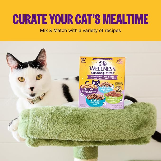 Wellness Appetizing Entrées Age Advantage Shredded Senior Wet Cat Food, Natural, Protein Rich, Grain Free, Chicken and Duck Recipe, 1.4 oz, Pack of 8 Pouches