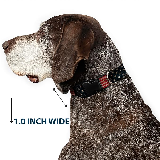 Buckle-Down Plastic Clip Collar - Vintage US Flag Stretch - 1/2" Wide - Fits 9-15" Neck - Large
