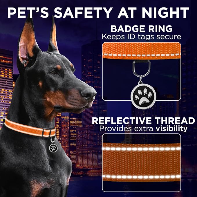 TECEUM Reflective Dog Collar – Orange – L – Extra Soft Padding – Basic Nylon Pet Collar – Quick Release Buckle – Fits Small, Medium and Large Dogs, Puppies, Cats – ESA & Service Dog Options