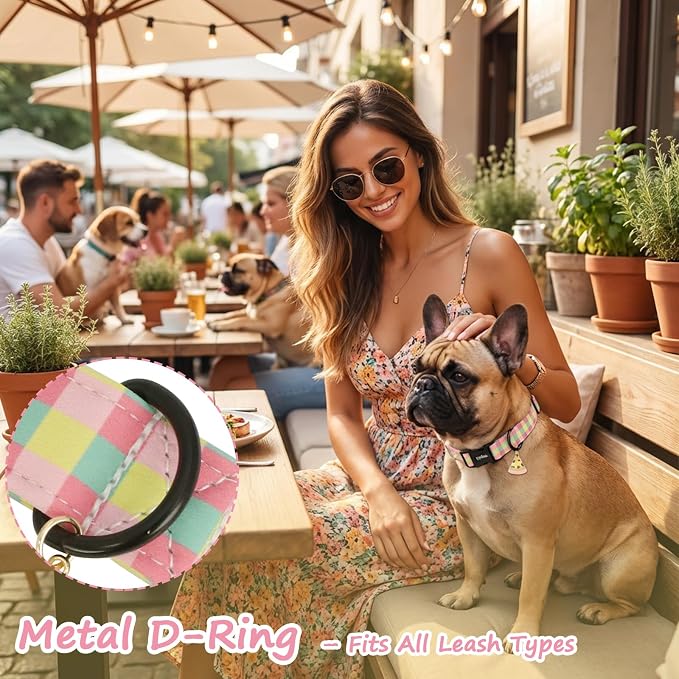 Dog Collar with Colorful Check Pattern, Spring Summer Collection Dog Collar with Exquisite Pendant, Durable Adjustable Collars for Gifts & Daily Use-S