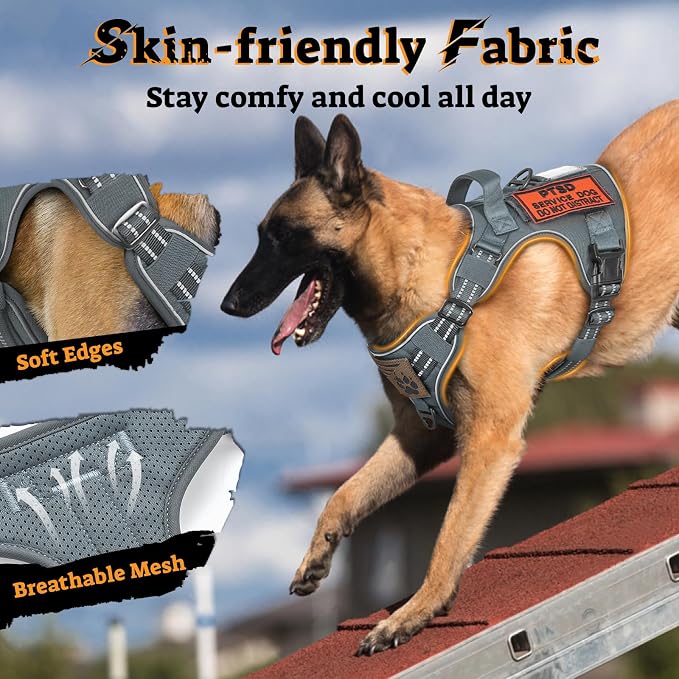 rabbitgoo Tactical Dog Harness for Large Dogs No Pull Adjustable Military Vest with Handle MOLLE Reflective Heavy Duty Dog Vest for Walking Training Hunting Outdoor Working Medium Size Dog Grey M