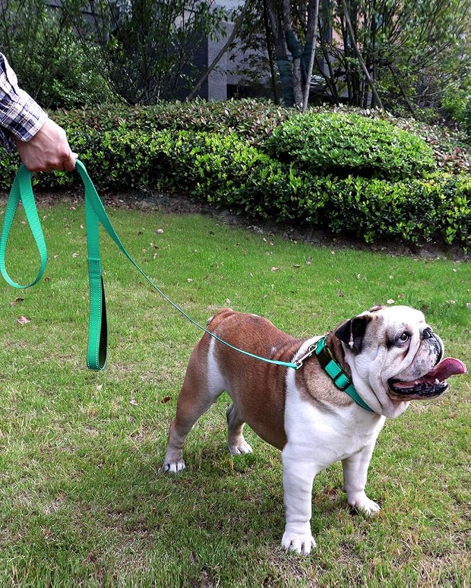 FunTags 6FT Turquoise Reflective Dog Leash for Large & Medium Dogs Walking, Soft Padded Handle Comfortable Grip, Heavy Duty Nylon, Reflective for Night Walking, 1in Wide