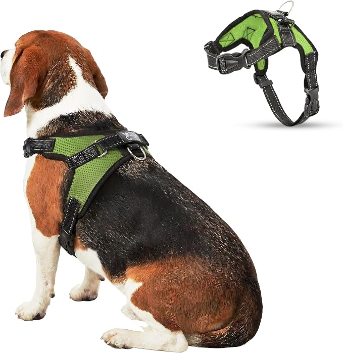 No Pull Reflective Adjustable Dog Harness With Handle- Comfortable Soft All Weather Mesh, Easy On Puppy Harness For Small Medium and Large Dogs (Green) Medium