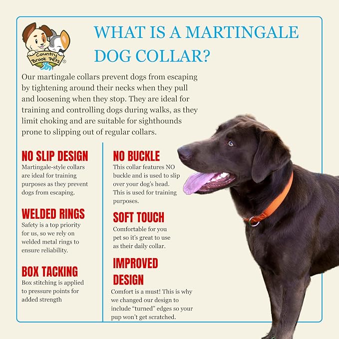 Country Brook Petz - Martingale Dog Collar - Heavy-Duty Training Collar with No Buckle - Service Dog Collar for All Pups - 20 Vibrant Colors (Orange, 3/8 Inch, 3XS)