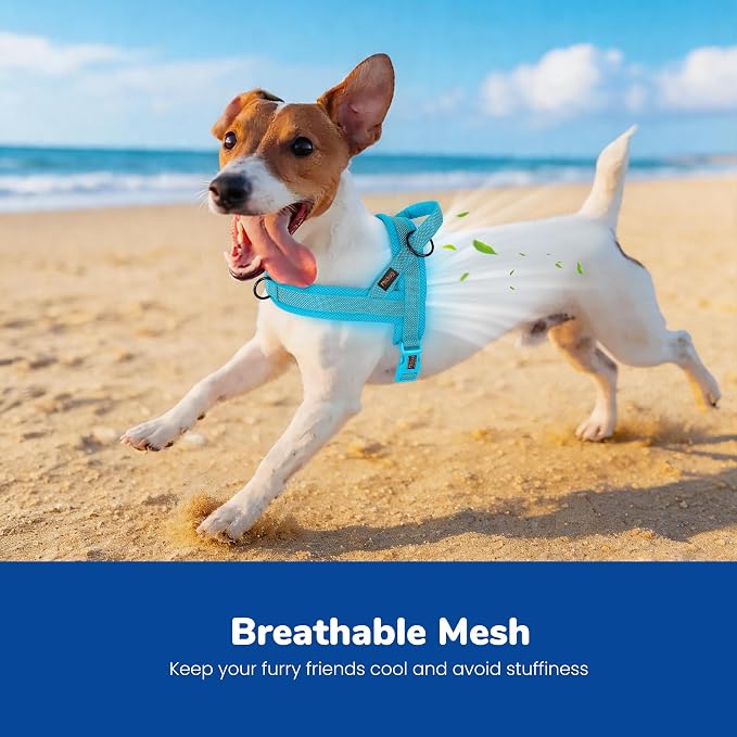 Didog No Pull Dog Harness with Breathable Mesh Padded, Full Reflective & Quick Fit Adjustable Vest Harness, Easy for Training Walking for Small & Medium and Large Dogs (Blue, S:Chest 18-22")