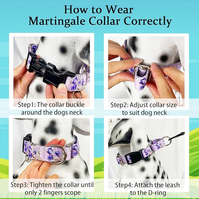 Martingale Collar for Dogs Floral Dog Collars for Small Medium Large Dogs with Buckle Adjustable Soft Nylon Dog Collar (Purple Lily, Small)