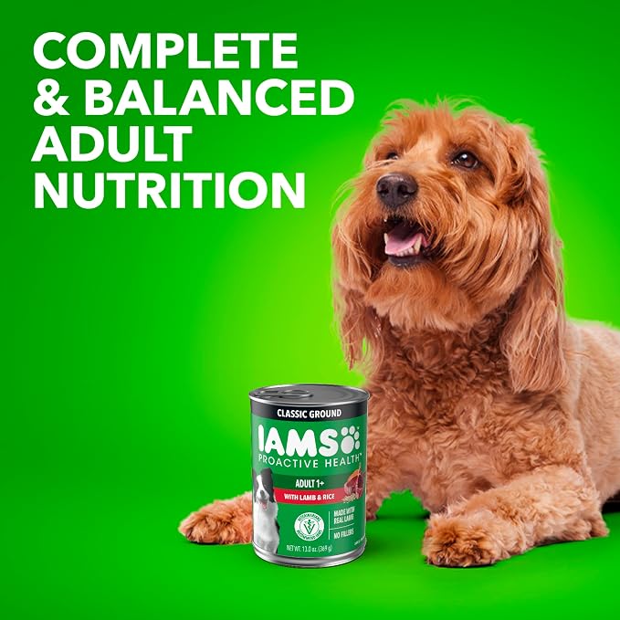 IAMS Proactive Health Wet Dog Food, Adult Wet Dog Food Multipack Ground Dinner, Lamb & Rice, 13 oz. Cans (Pack of 12)
