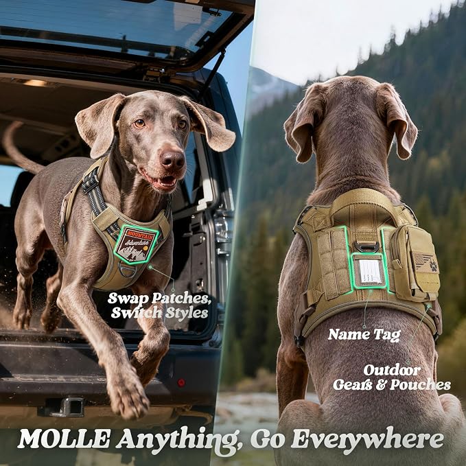 rabbitgoo Dog Harness for Large Dogs No Pull, Tactical Service Pet Vest with Molle and Control Handle, Adjustable and Reflective Military Harness for Easy Walking and Training, Brown, L