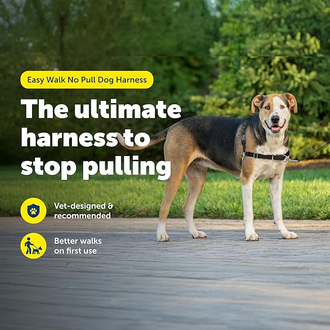 PetSafe Easy Walk No-Pull Dog Harness - Ultimate Harness to Help Stop Pulling - Pull-Free Walks - Take Control & Teach Better Leash Manners - Patented Martingale Loop Design - Black, X-Large