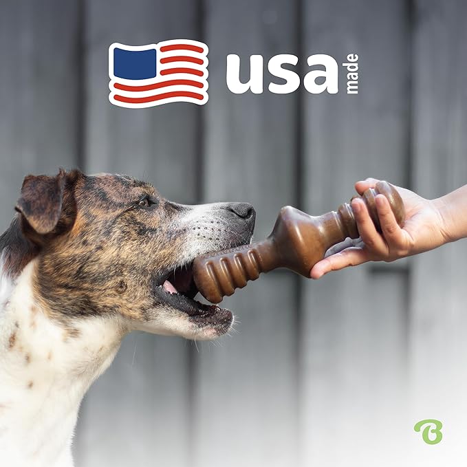 Benebone Zaggler Rolling Dog Chew Toy for Aggressive Chewers, Real Bacon, Made in USA, Medium (Pack of 2)