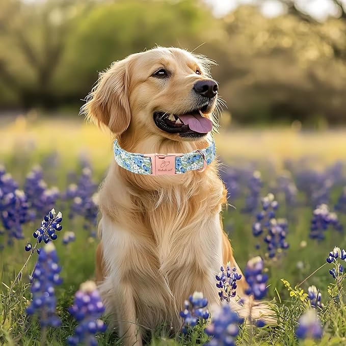 Blueberry Garden Dog Collar, Spring/Summer Cottagecore Floral Dog Collars, Adjustable Heavy Duty Girl Dogs Collar for Small Medium Large Dogs with Metal Buckle L