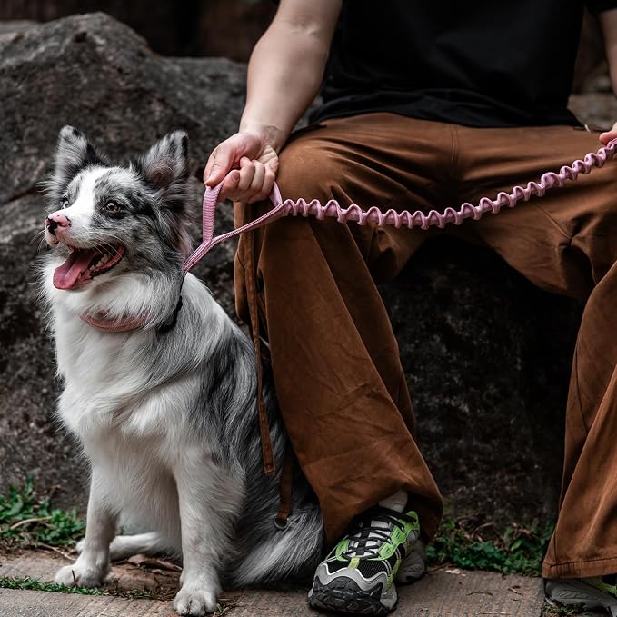 OneTigris Tactical Dog Training Bungee Leash with 2 Control Handle Quick Release Nylon Leads Rope