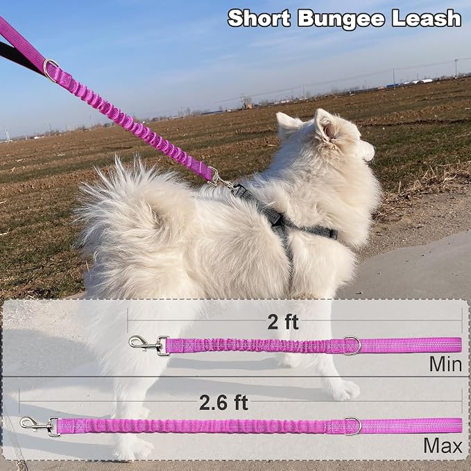 2 FT Bungee Dog Leash, Reflective Strong Nylon Short Traffic Leash, Shock Absorbing Training Lead for Large Medium Dogs Walking Controlling (2ft, Purple)