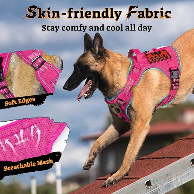rabbitgoo Tactical Dog Harness for Small Dogs No Pull Adjustable Military Vest with Handle MOLLE Reflective Heavy Duty Dog Vest for Walking Training Hunting Outdoor Working Medium Size Dog Rose Red S