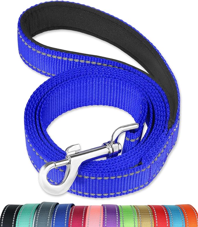 FunTags 4FT Royal Blue Reflective Dog Leash for Large & Medium Dogs Training, Soft Padded Handle Comfortable Grip, Heavy Duty Nylon, Reflective for Night Walking, 1in Wide