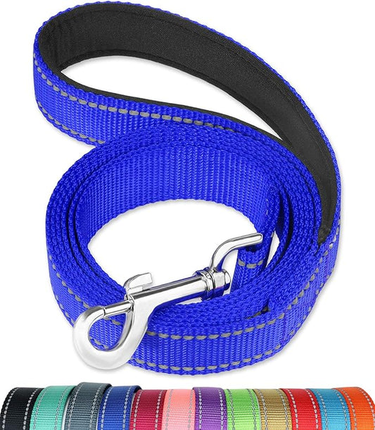 FunTags 6FT Royal Blue Reflective Dog Leash for Medium & Small Dogs Walking, Soft Padded Handle Comfortable Grip, Heavy Duty Nylon, Reflective for Night Walking, 3/4in Wide