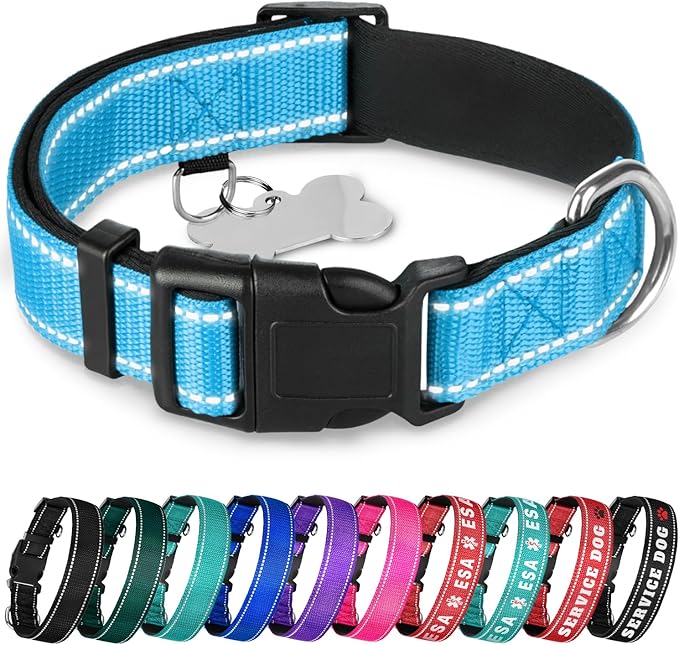TECEUM Reflective Dog Collar – Sky Blue – L – Extra Soft Padding – Basic Nylon Pet Collar – Quick Release Buckle – Fits Small, Medium and Large Dogs, Puppies, Cats – ESA & Service Dog Options
