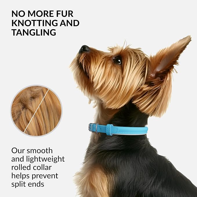 CollarDirect Reflective Rolled Leather Dog Collar, Soft Padded Round Puppy Collar, Handmade Genuine Leather Collar Dog Small Large Cat Collars 13 Colors (6-7 Inch, Light Blue Reflective)