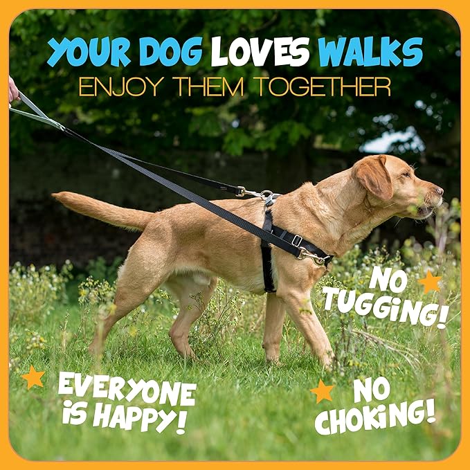 2 Hounds Design - Freedom No-Pull Harness & Training Leash in Pink and Purple | Dual Leash Loops, No Pulling on Walks | Lined to Prevent Chaffing | for Large Sized Dogs (Size M, Chest 24”- 28”)