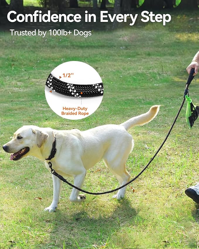 Joytale Dog Leash for Large Dogs, Heavy Duty Nylon Leashes with Comfortable Padded Handle and Highly Reflective Threads, Ideal for Walking and Training, Black, 6'×1/2''