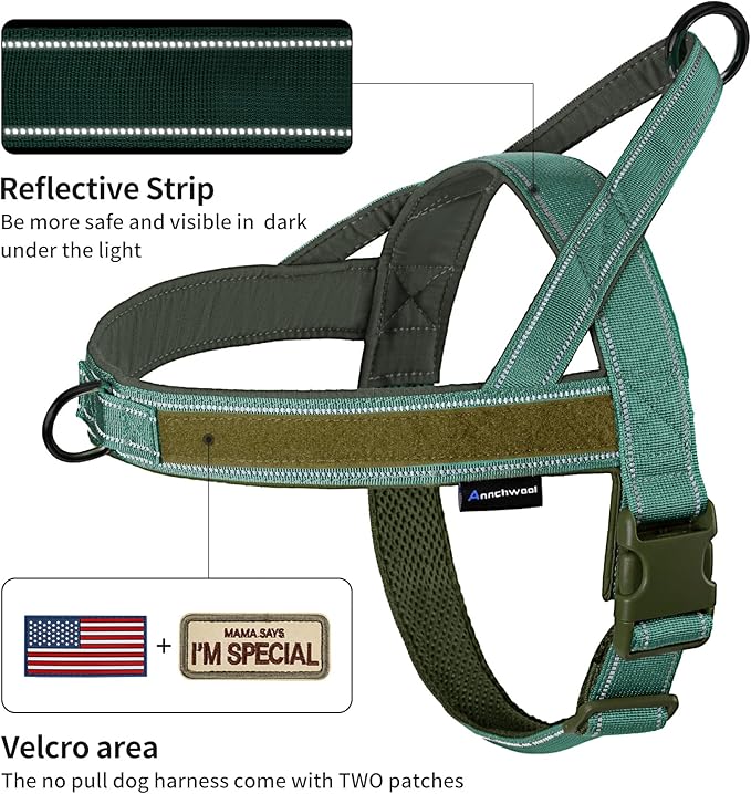 Annchwool No Pull Dog Harness with Padded Handle+5 Ft Leash,Reflective Strip Escape Proof and Quick Fit to Adjust Dog Harness,Easy for Training Walking for Small & Medium and Large Dogs(Green-Set,S)