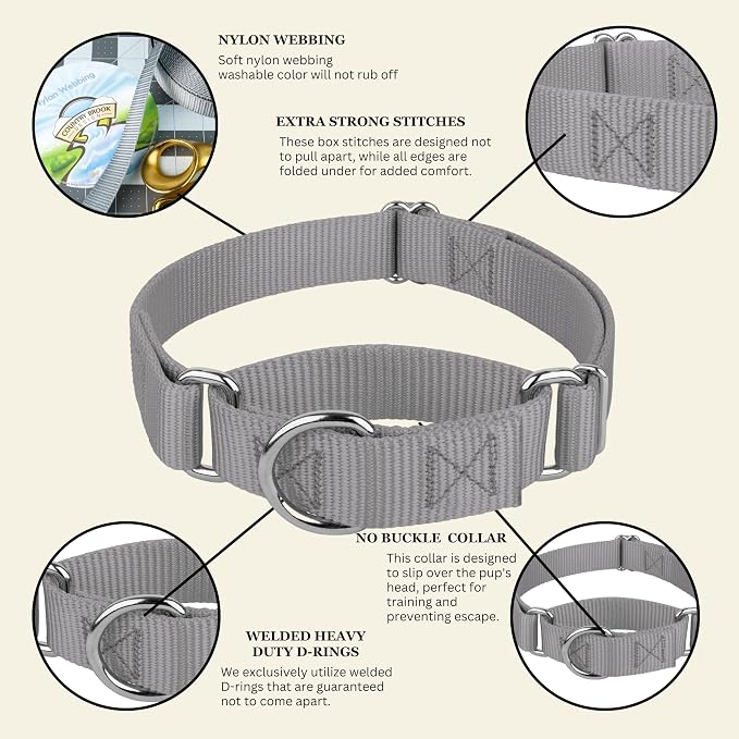 Country Brook Petz - Martingale Dog Collar - Heavy-Duty Training Collar with No Buckle - Service Dog Collar for All Pups - 20 Vibrant Colors (Silver, 3/8 Inch, 2XS)